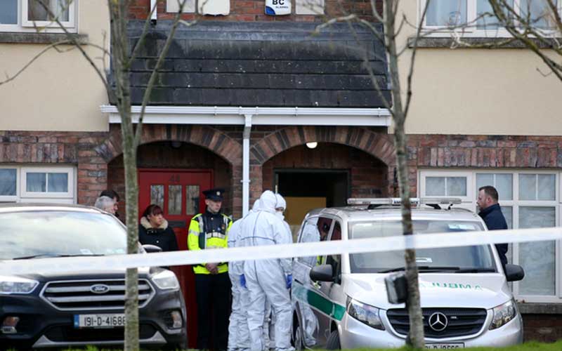 Gardai Forensic teams at the scene in Parson's Court Newscastle in West Dublin, where three siblings were found dead. Credit: Sam Boal/Rollingnews.ie
