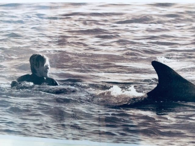 Abi Dillon swimming with Fungie the Dingle Dolphin