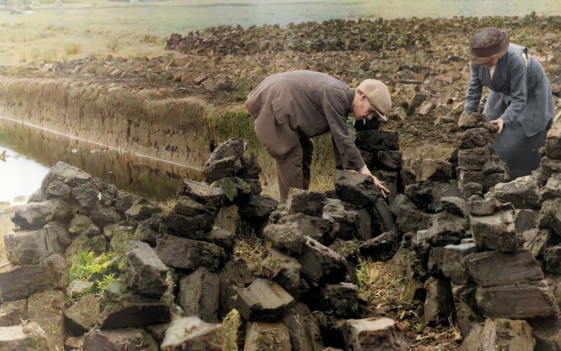 Bog cutting in Ireland. Merrion Press