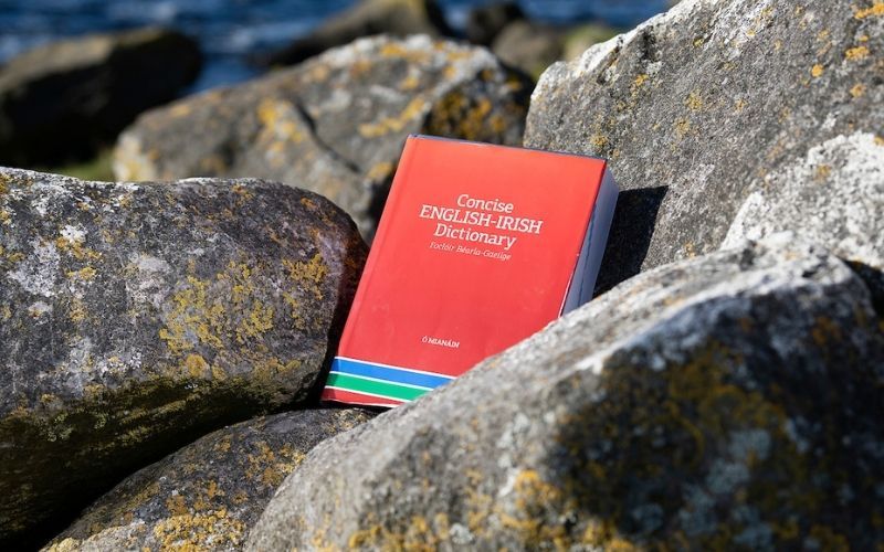 The new dictionary took 11 years to compile. The new dictionary took 11 years to compile.