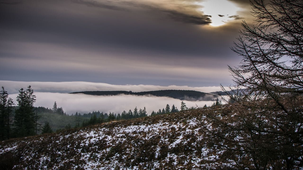 Beautiful Frosty Mornings in the Slieve Blooms