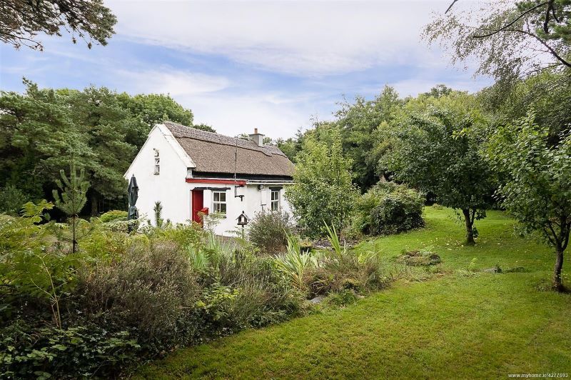 The rear of Cuing More. (MyHome.ie)