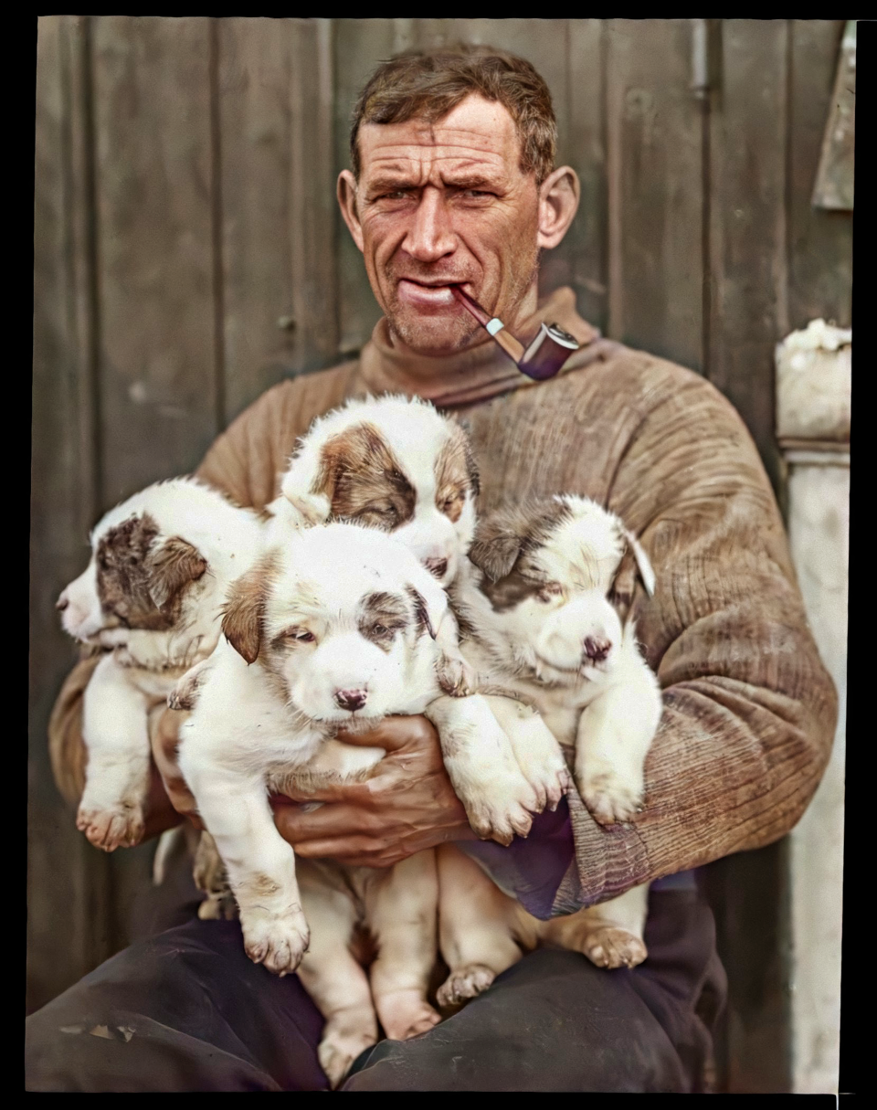 Tom Crean holding four sally's pups is one of the most popular colorized images in the book.