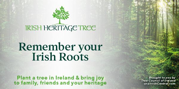 Remember your Irish ancestors with Irish Heritage Tree.