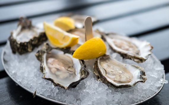 Oysters. (iStock)