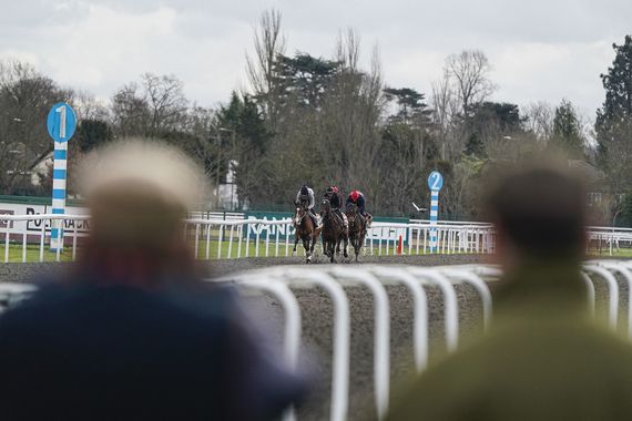 Nothing like horse racing. Nothing like horse racing.