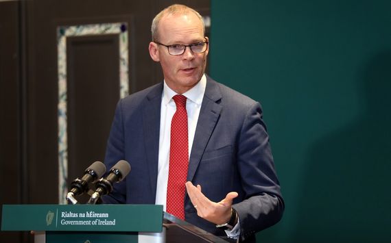 Ireland's Tánaiste (Deputy Leader) Simon Coveney. Ireland's Tánaiste (Deputy Leader) Simon Coveney.