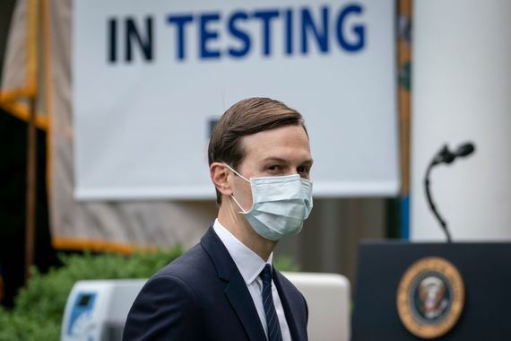 The head of the Trump administration's Covid-19 response team got his post by marrying Trump's daughter. The head of the Trump administration's Covid-19 response team got his post by marrying Trump's daughter.