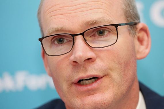 Simon Coveney, pictured here in 2020. (RollingNews.ie)
