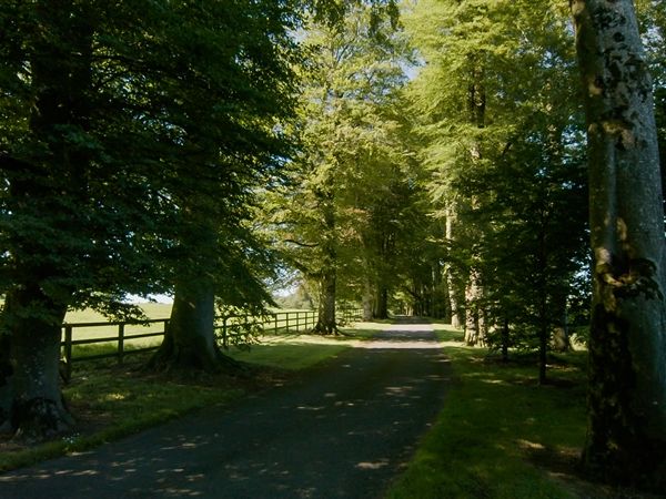 Goffs Property