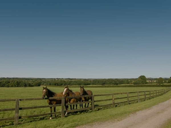 Goffs Property