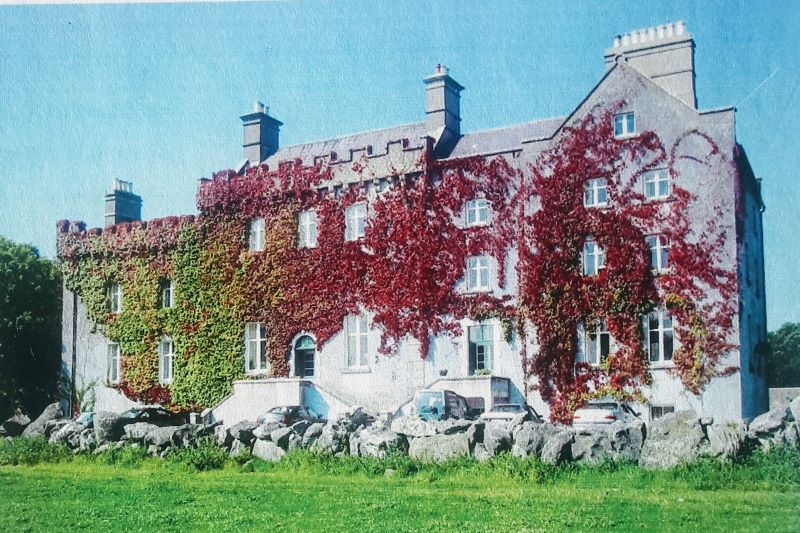 Cregg Castle in Corrandulla, Co Galway (Daft.ie)