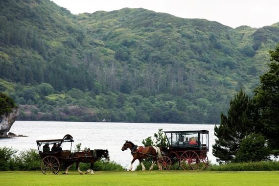 Jaunting cart in Killarney National Park. Jaunting cart in Killarney National Park.