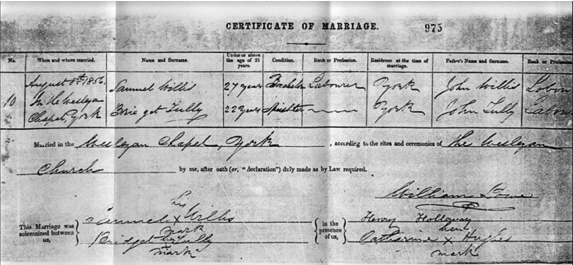 Marriage certificate for Bridget Tully and Samuel Willis, 1854. Marriage certificate for Bridget Tully and Samuel Willis, 1854.