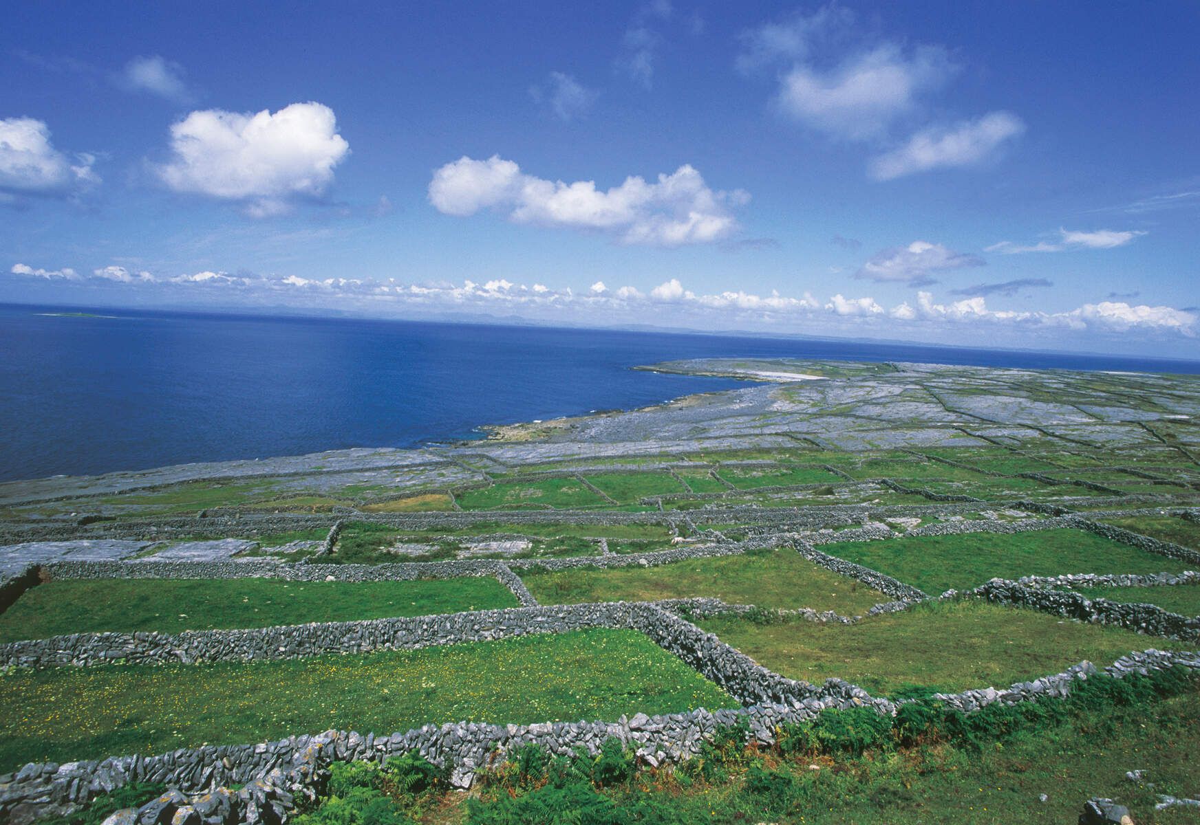Inish Oir, on of the Aran Islands, where the cousins were finally brought to safety. Inish Oir, on of the Aran Islands, where the cousins were finally brought to safety.
