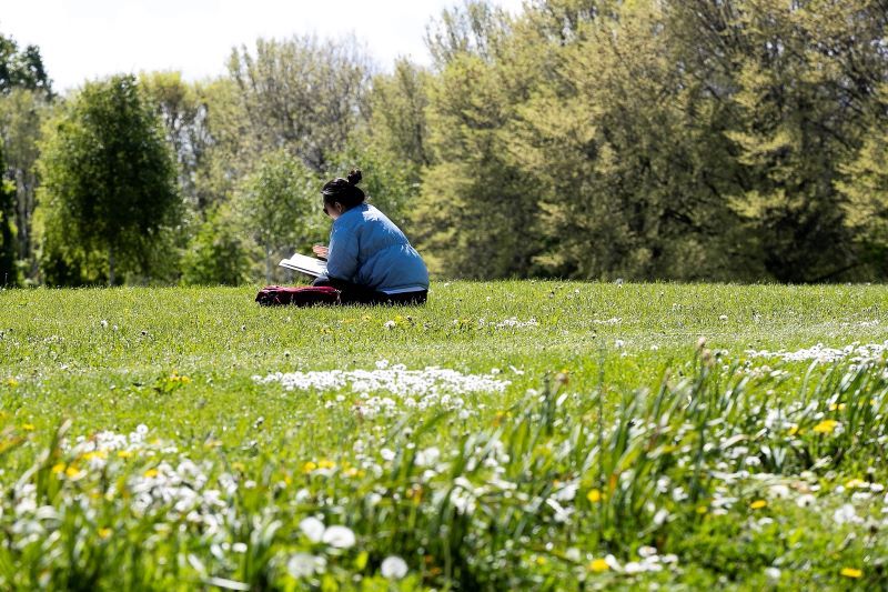 Fairview Park in May 2020. (RollingNews.ie)