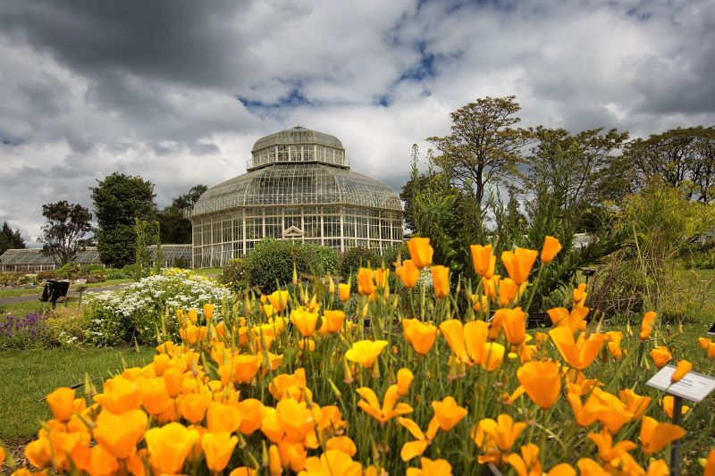 National Botanic Gardens. (Ireland's Content Pool)