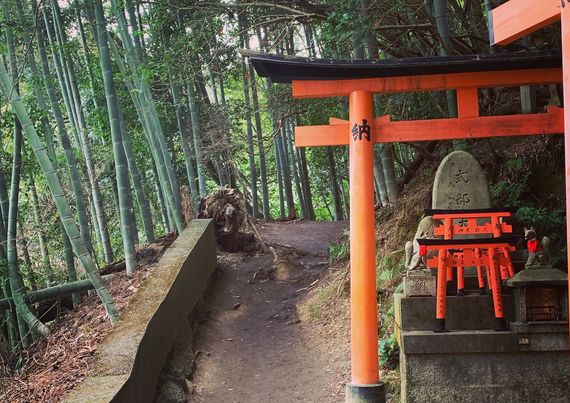 Ireland or Japan? Sometimes the Japanese landscape may force Irish visitors to do a double take. Ireland or Japan? Sometimes the Japanese landscape may force Irish visitors to do a double take.