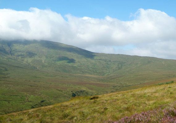 Tourism Ireland