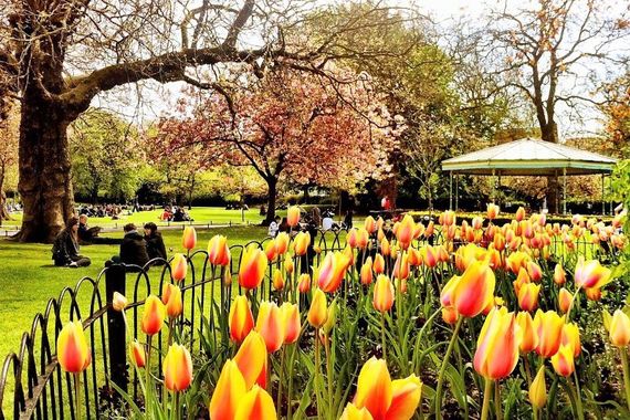 St. Stephen's Green, Dublin.