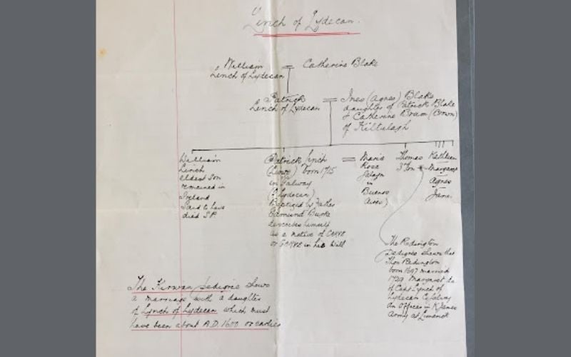 GO MS 817 (12) Draft Pedigree of Lynch of Lydecan. A later version of this pedigree in GO MS 812 (31) include a fourth generation, Walter and Patrick Lynch, sons of William (d 1758).(2)