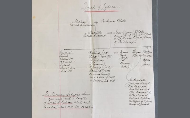GO MS 817 (12) Draft Pedigree of Lynch of Lydecan. A later version of this pedigree in GO MS 812 (31) include a fourth generation, Walter and Patrick Lynch, sons of William (d 1758).(2) GO MS 817 (12) Draft Pedigree of Lynch of Lydecan. A later version of this pedigree in GO MS 812 (31) include a fourth generation, Walter and Patrick Lynch, sons of William (d 1758).(2)