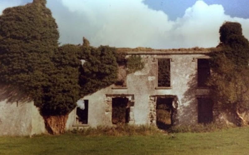 The ruined remains of Lydican Castle, Claregalway, County Galway (19)