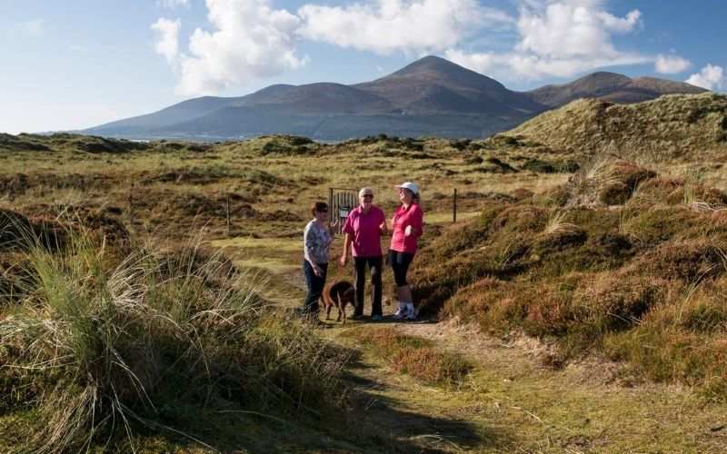 Mourne Mountains, Co. Down, Northern Ireland