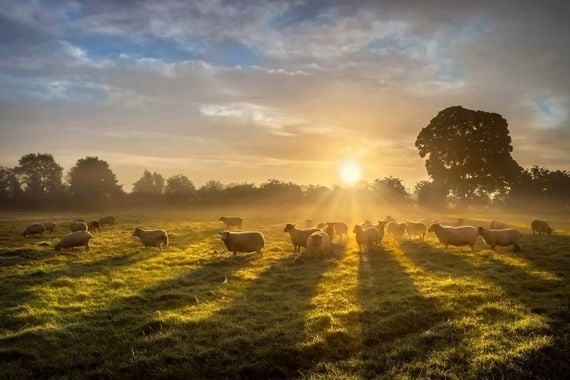 Markethill, Co Armagh. (Getty Images) Markethill, Co Armagh. (Getty Images)