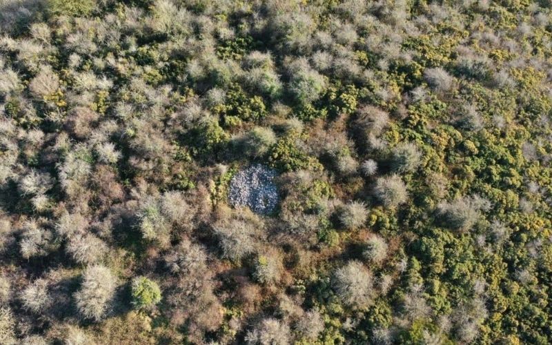 The cairn in Laois using the Historical Environment Viewer The cairn in Laois using the Historical Environment Viewer