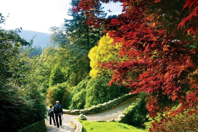 Tollymore Forest Park. (Ireland's Content Pool)