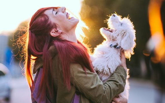 A madra (dog) with their owner A madra (dog) with their owner