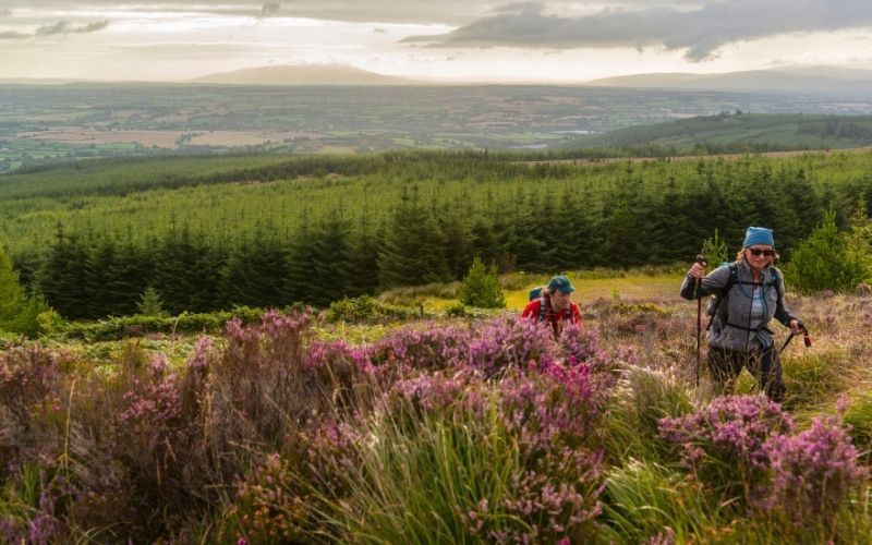 The Glen of Aherlow: is the perfect place for loved-up ramblers The Glen of Aherlow: is the perfect place for loved-up ramblers