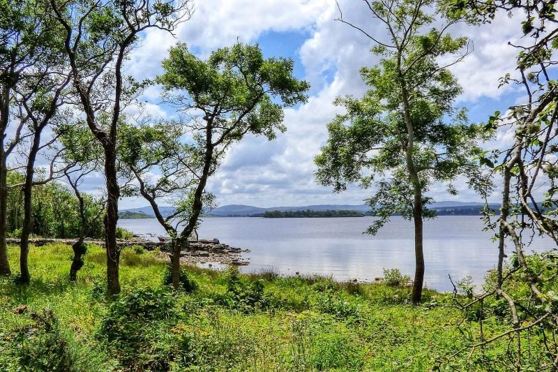 Inchagoill Island, Lough Corrib, Co Galway. (Ireland's Content Pool)