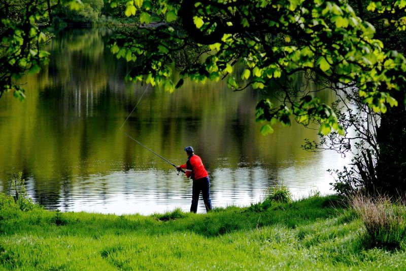 Lough Muckno Leisure Park and Hope Castle, Co Monaghan. (Ireland's Content Pool)