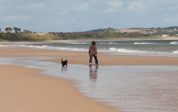 Curracloe Beach, County Wexford.