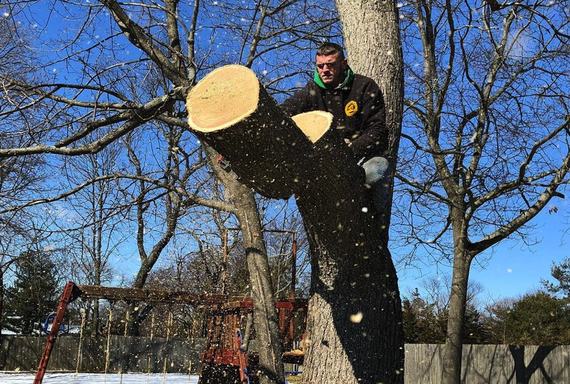 Joe Smith on the job, cutting a tree. Joe Smith on the job, cutting a tree.