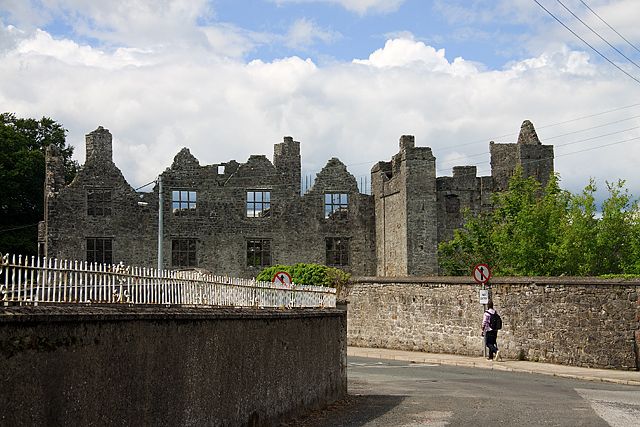 Athlumney Castle. Athlumney Castle.