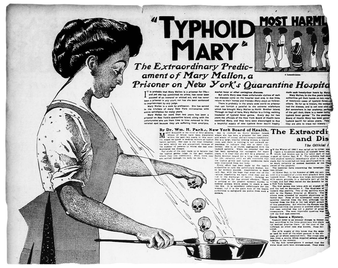 A newspaper illustration of Typhoid Mary. A newspaper illustration of Typhoid Mary.