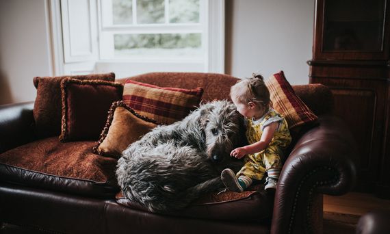 Man's best friend deserves a great Irish name. (Getty Images) Man's best friend deserves a great Irish name. (Getty Images)