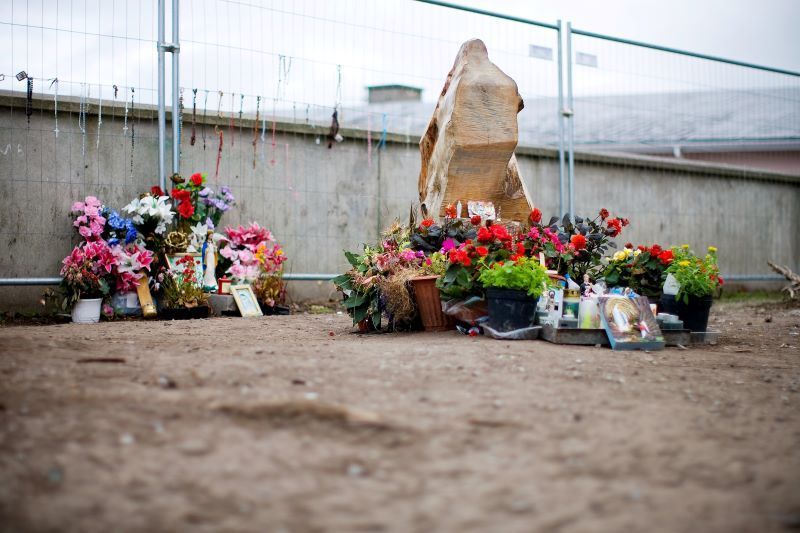 The Holy Tree Stump of Rathkeale in 2009. (RollingNews.ie) The Holy Tree Stump of Rathkeale in 2009. (RollingNews.ie)