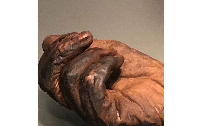 A bog preserves bodies to a remarkable degree. A bog preserves bodies to a remarkable degree.