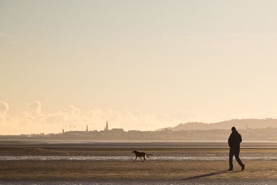 Peace and quiet: A man walks his dog on Sandymount Strand, in Dublin. Peace and quiet: A man walks his dog on Sandymount Strand, in Dublin.