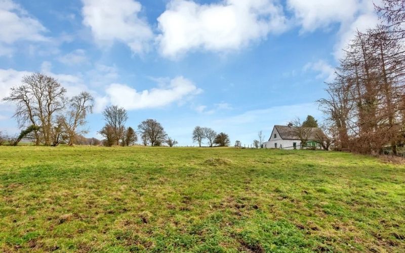myhome.ie/Sherry FitzGerald McDermott Tullow