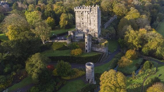 You can find the Witch's Yew, Ireland's most haunted tree, at Blarney Castle in Co. Cork You can find the Witch's Yew, Ireland's most haunted tree, at Blarney Castle in Co. Cork