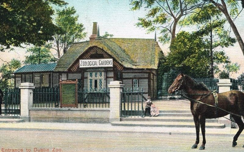 Entrance to Dublin Zoo postcard featured in The Classic Irish Postcard Collection