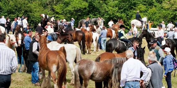 Spancilhill Fair in County Clare. Spancilhill Fair in County Clare.