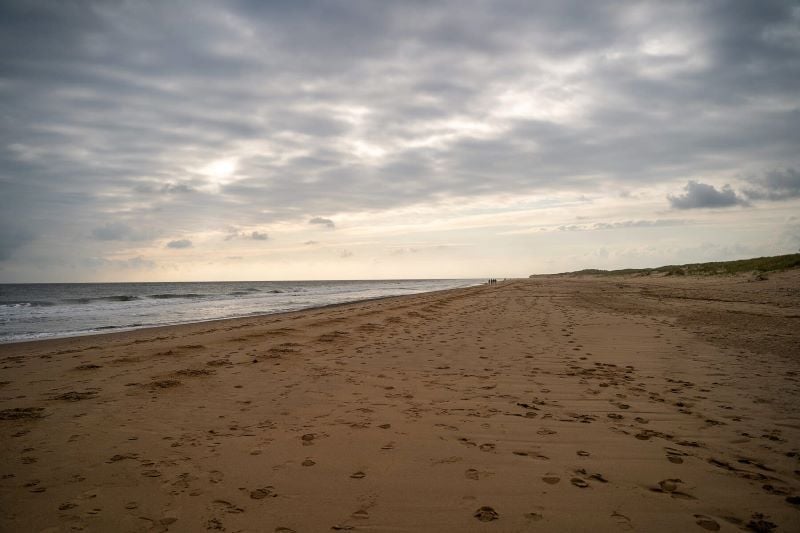 Curracloe Beach in County Wexford. (Ireland's Content Pool)