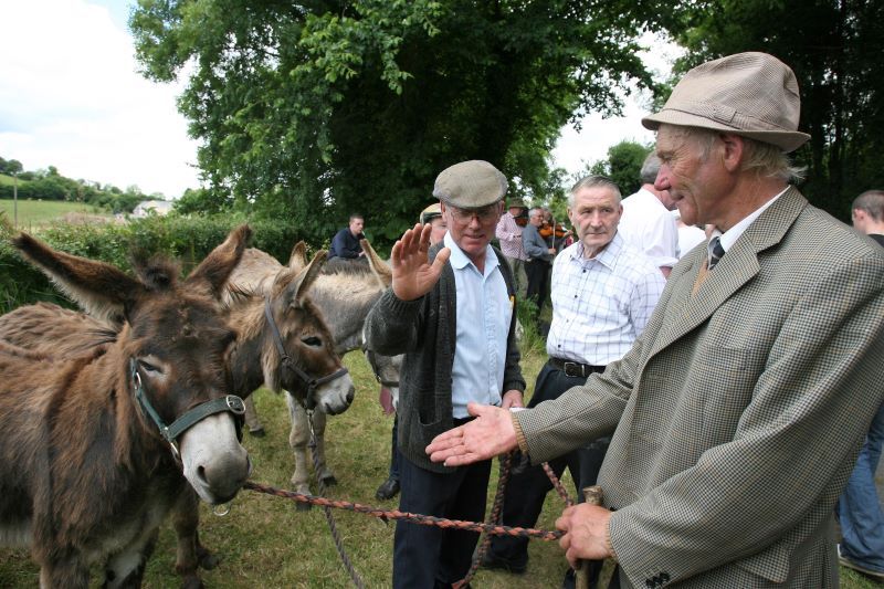 Gregory Glennon and Patrick Scanlon is pictured at the 2009 Spancilhill Horse Fair Co Clare. (RollingNews.ie)