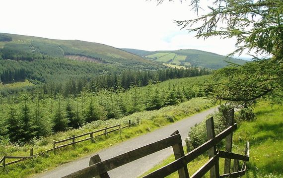 Slieve Bloom Mountains. Slieve Bloom Mountains.